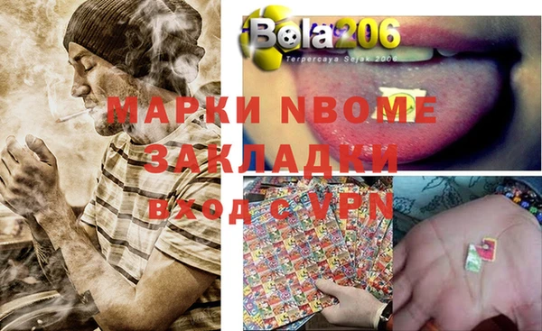 твердый Протвино